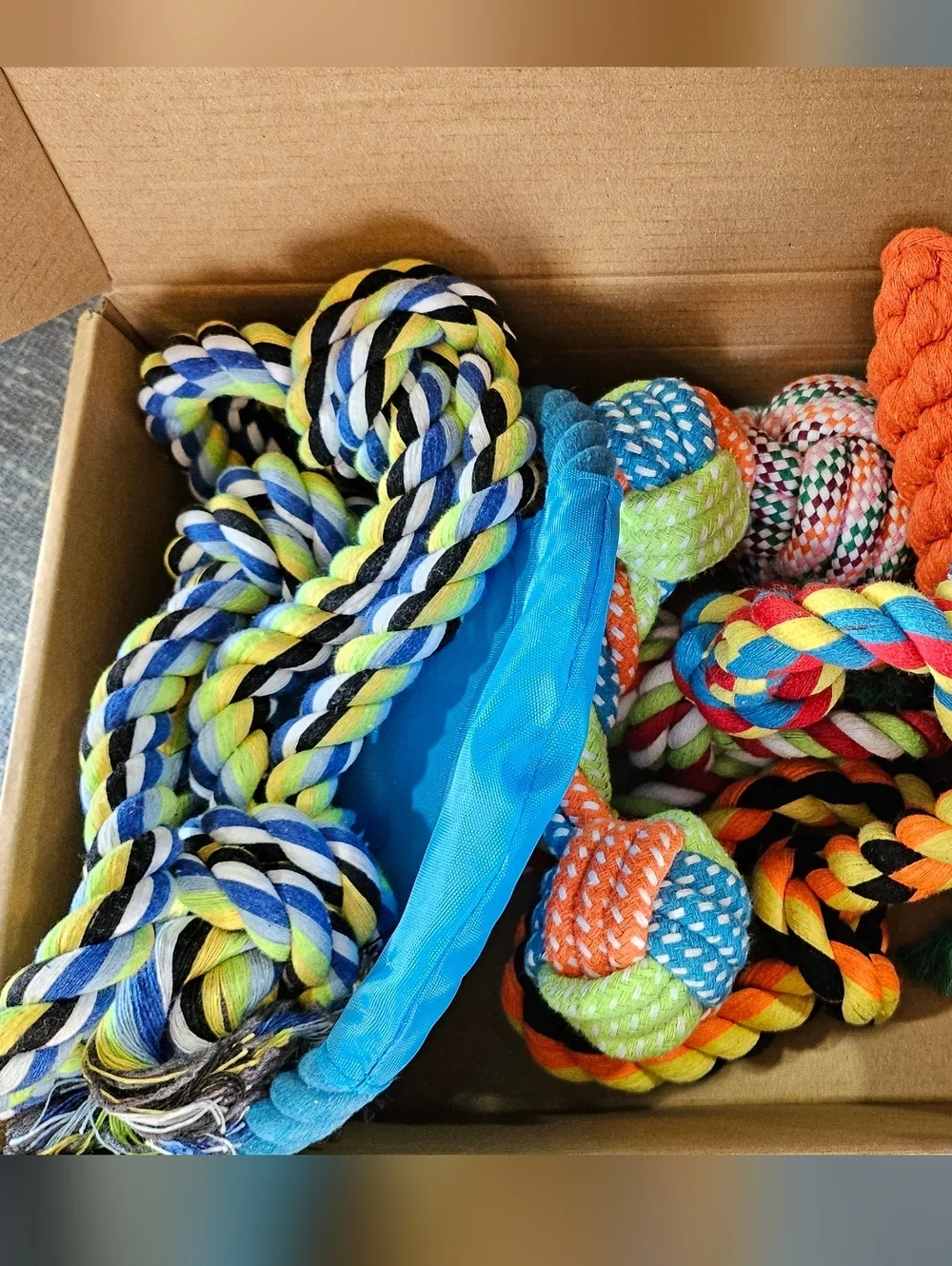 Dog Toys